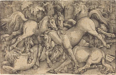 Gruppe von sieben Pferden im Wald