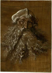 Kopf eines alten Mannes mit schwerem Bart