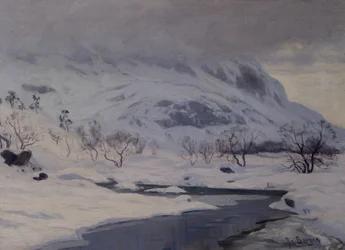Berglandschaft im Winter