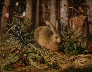Ein Hase im Wald