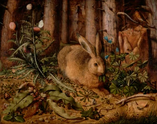Ein Hase im Wald, ca. 1585