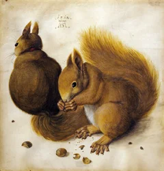 Zwei Eichhörnchen.