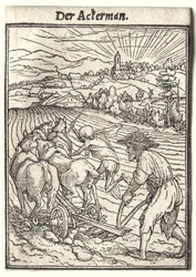 Totentanz: Der Pflüger