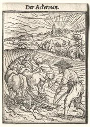Totentanz: Der Pflüger