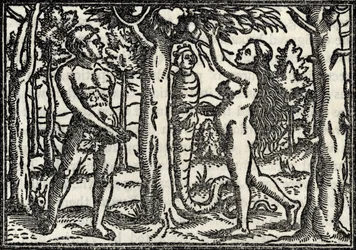 Der Fall von Adam und Eva, aus 