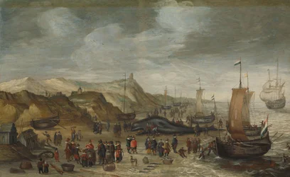 Ein Pottwal, der am 28. Dezember 1614 am Strand von Noordwijk angespült wurde