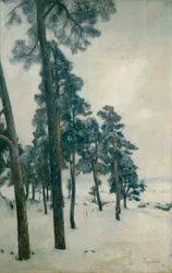 Aus dem Bogstadsee