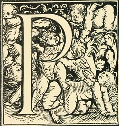 P - Ein Alphabet von Hans Weiditz, ca. 1520-1521, 1908
