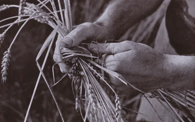 Herstellung von Strohbändern