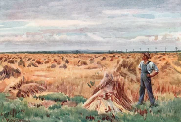 Entlang der Weizenfelder von Manitoba