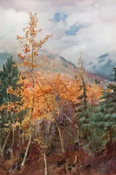 An einem Berghang in der Nähe von Nelson, British Columbia