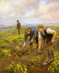 Hackarbeit über der Mount