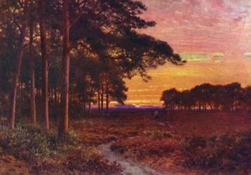 Abend auf den Mooren, Hindhead