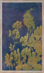 Eisenhut, um 1922