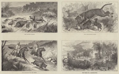 Indien und der Prinz von Wales