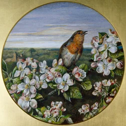 Ein Rotkehlchen unter Blüten