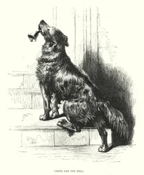 Chum und die Glocke (Stich)
