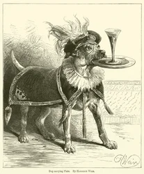 Hund trägt Teller