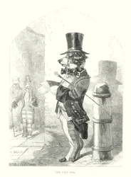 Lustige Hunde: Der schnelle Hund (Gravur)