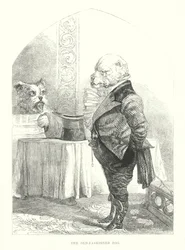 Lustige Hunde: Der altmodische Hund