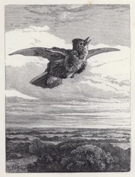 Das Lied der Feldlerche