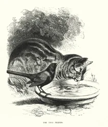 Die zwei Freunde (Stich)