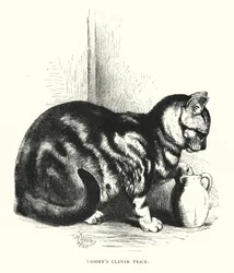 Tommys cleverer Trick (Stich)