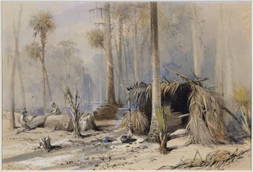 Der Zypressen-Schindelhof, Ocklawaha River, Florida
