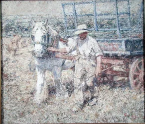 Der Pflüger