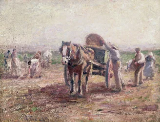 Die Kartoffelernter