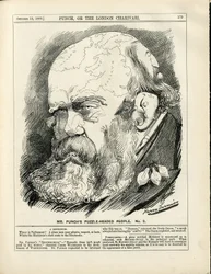 Illustration von Harry Furniss in Punch