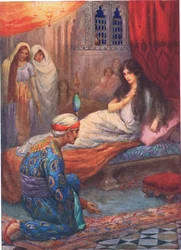 Prinz Feroze-Shah weckt die schöne Prinzessin, Illustration aus 