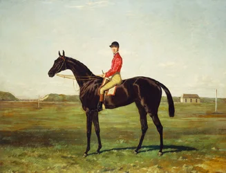 Ein Rennpferd mit Jockey auf der Rennbahn in Newmarket