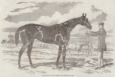 Blink Bonny, der Gewinner des Derbys und der Oaks