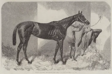 Braune Herzogin, Gewinnerin der Oaks