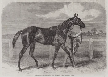 Caller Ou, der Gewinner des St. Leger