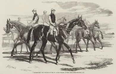 Imperieuse, der Gewinner der St. Leger Stakes, beim Doncaster Meeting, 1857