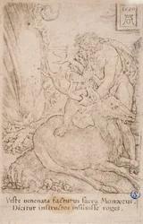 Herakles fängt die Kerynitische Hirschkuh, aus der Serie: Die Arbeiten des Herkules (13)