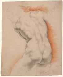 Nach links gebogener männlicher Modell, von hinten gesehen