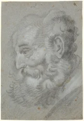 Altes Gesicht, Profil nach links