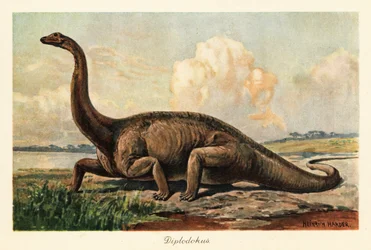 Ausgestorbener Diplodocus longus auf den Ebenen