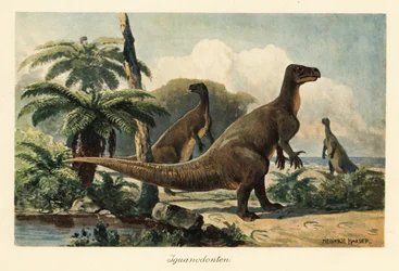 Iguanodon bernissartensis in einem prähistorischen Farnwald