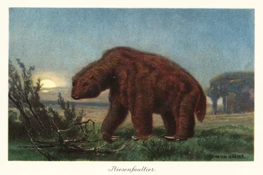 Megatherium americanum im Mondlicht