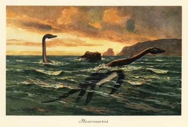 Plesiosaurus dolichodeirus im Ozean