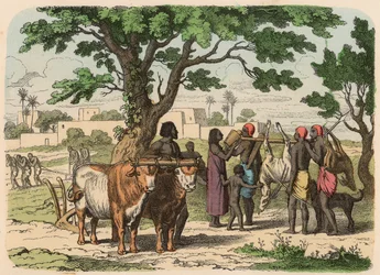 Antikes Ägypten: Landwirtschaft und Jagd