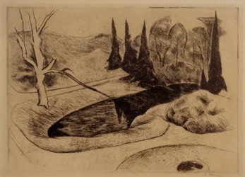 Park in Dilborn, 1914