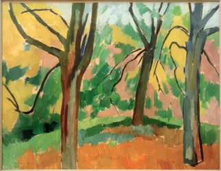 Parklandschaft
