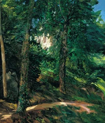 Schlossgelände in Lichtenberg im Odenwald, 1900
