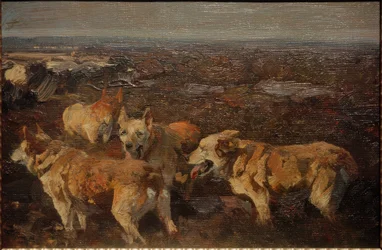 Hunde