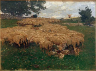 Schafherde auf der rauen Alb